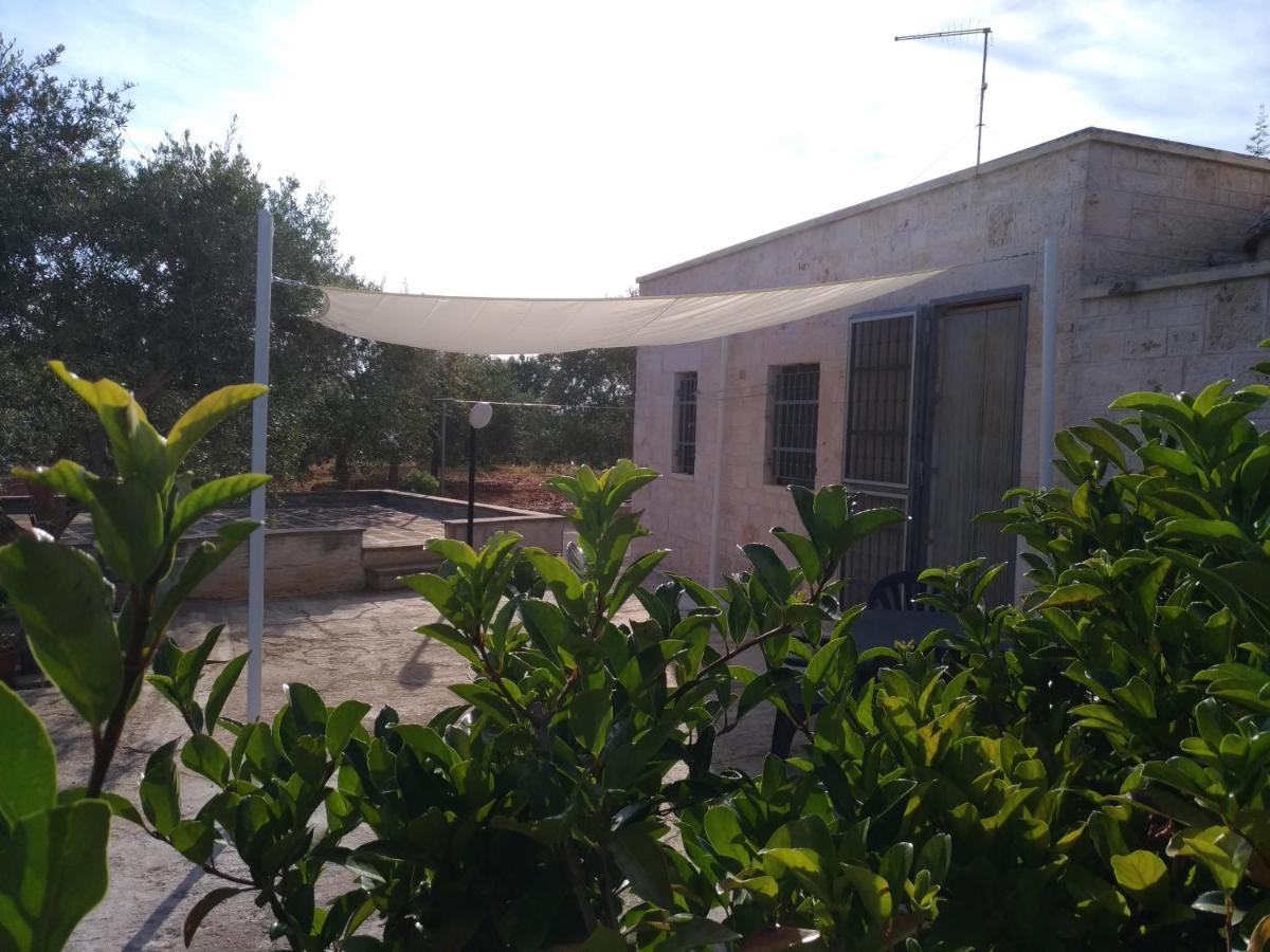 Trullo Salamina Holiday home Cisternino
