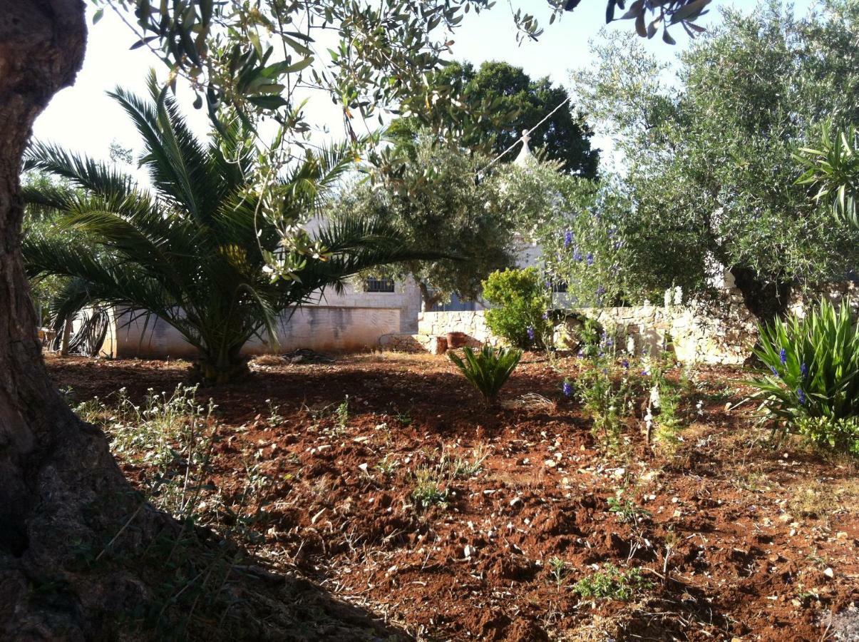Holiday home Trullo Salamina Cisternino